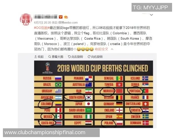 2002年世界杯经典回顾德国对阵巴西精彩录像重温